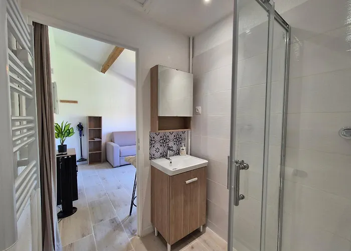 Refait A Neuf, Piscine Et Parking Prive Apartment *