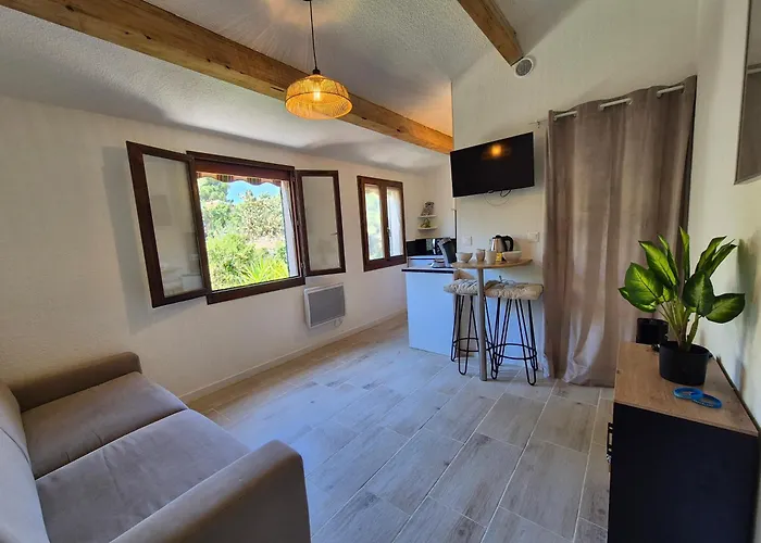 Refait A Neuf, Piscine Et Parking Prive Apartment *
